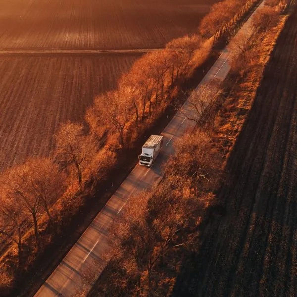 AI consulting in logistics and supply chain management