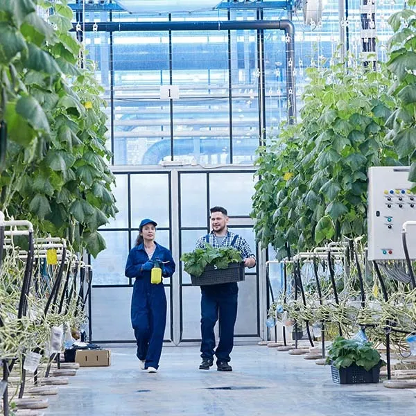 AI in Agritech and Food Production