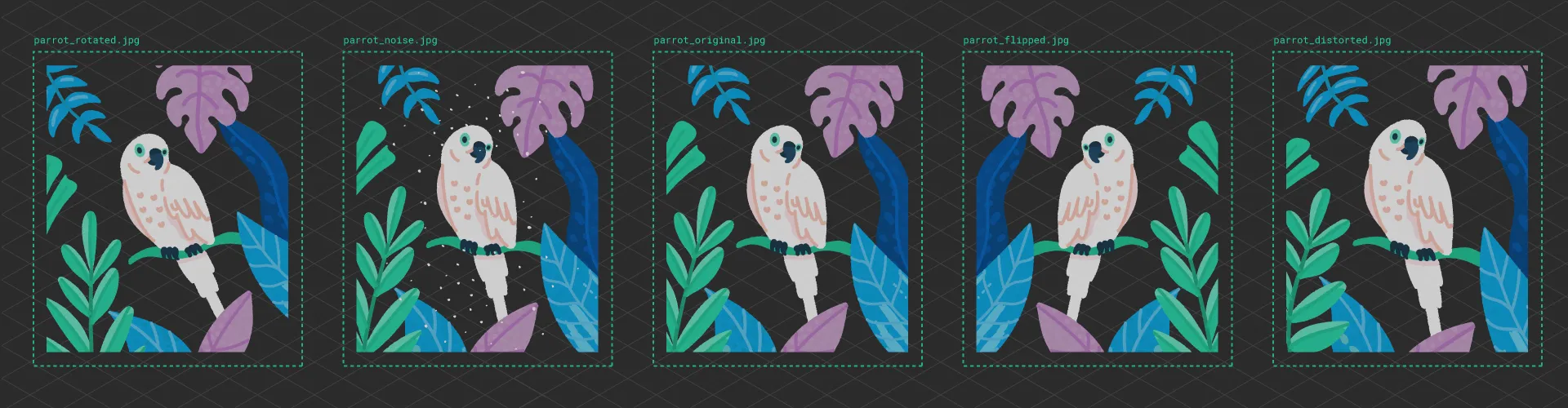 Lousy Dataset? Tips for Training Your Neural Network