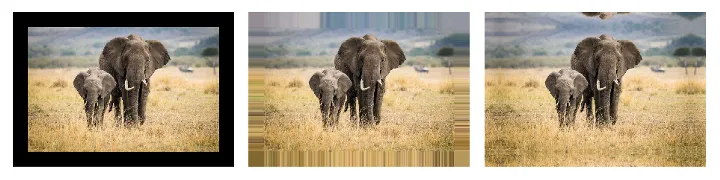 elephants picture with different paddings